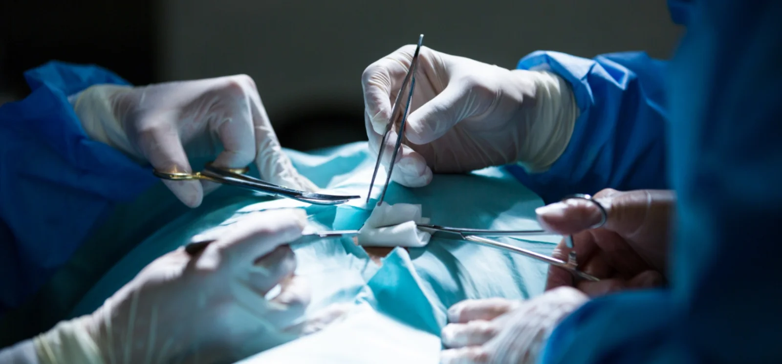 Hip Replacement Surgery  Banner
