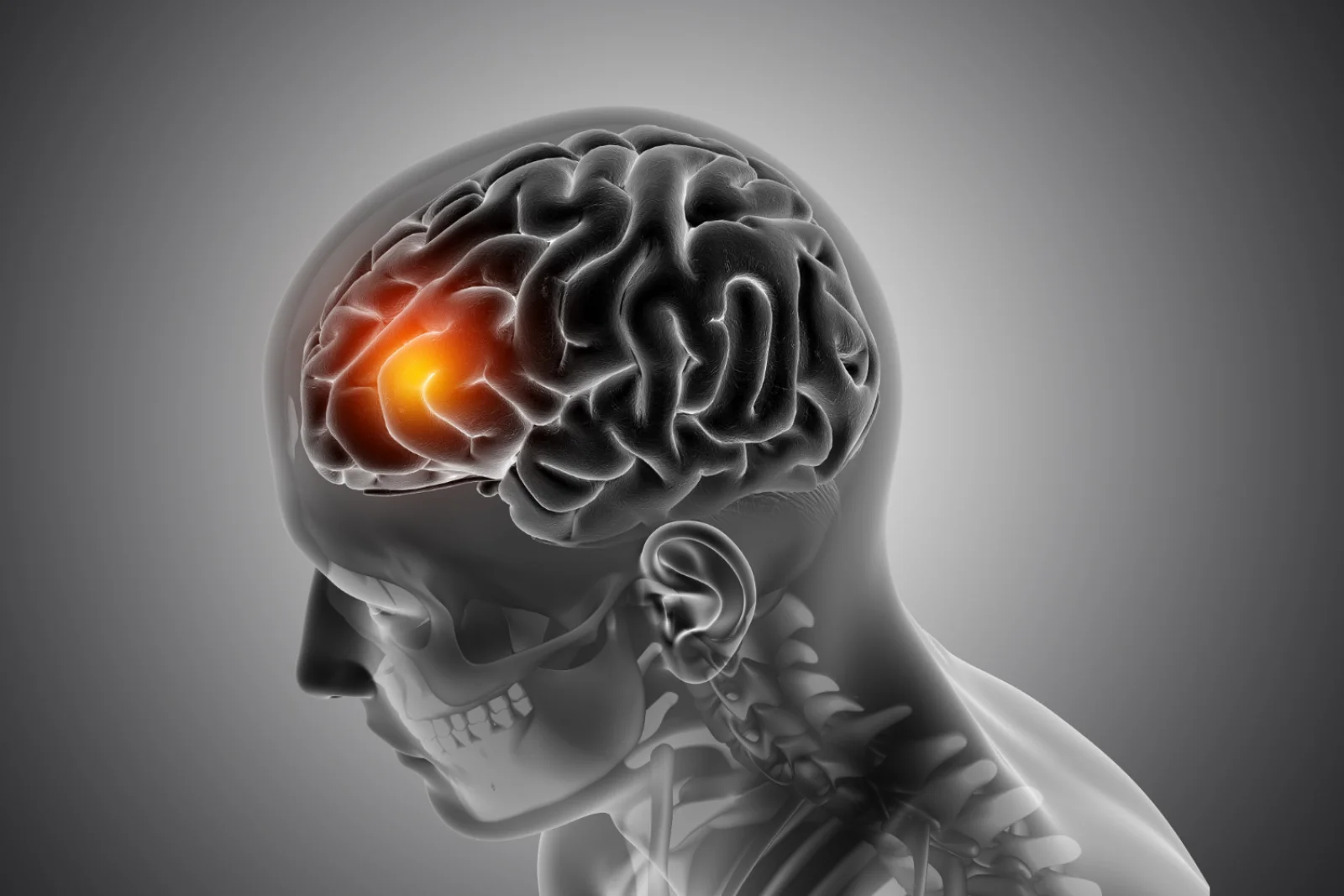 Management of Hepatic Encephalopathy Banner