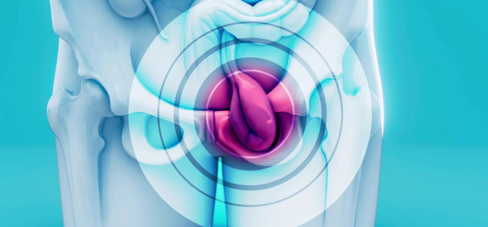Hernia Repair Surgery  Banner