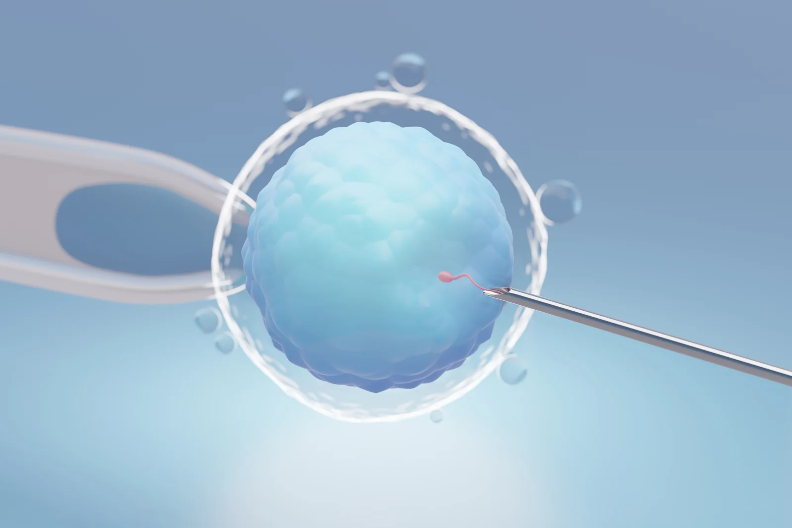 IVF Treatment (In Vitro Fertilization) Banner